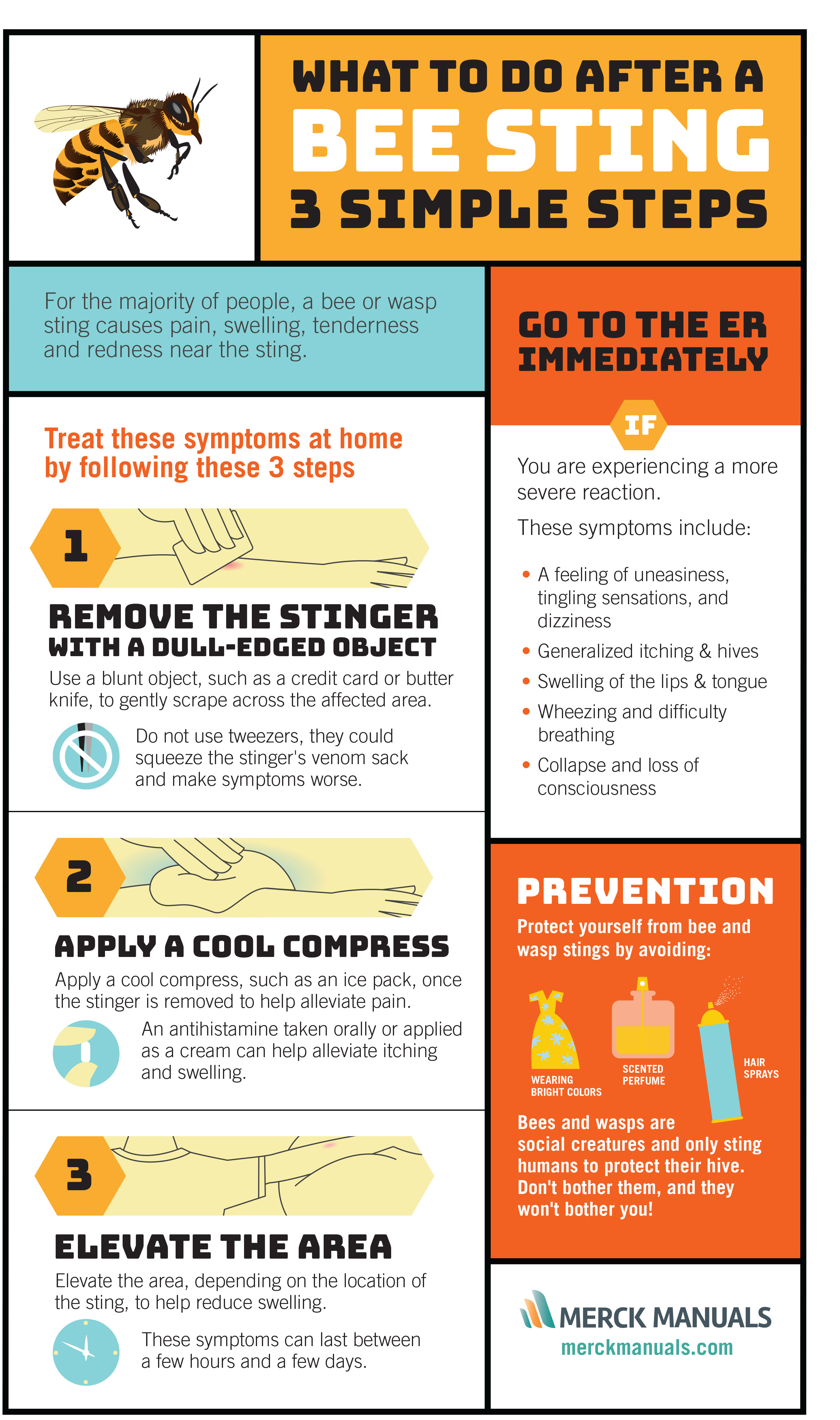 3 Steps To Take Immediately After A Bee Sting Merck Manuals Consumer 