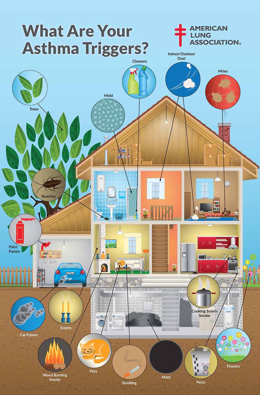 Infographic: EN_Asthma - Merck Manuals Consumer Version